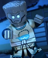 Steep Wisdom (no hat)