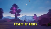 Casket of Bones