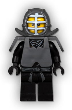 Types of gi | Ninjago Wiki | Fandom