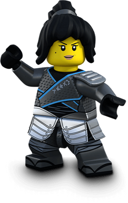 Lego ninjago season 8 release date sale