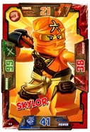 Card 44 - Skylor