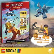 Ninja's Journey Buster Books Promo.jpg (470 KB)
