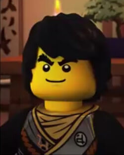 Cole Ninjago Wiki Fandom