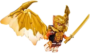 Golden Dragon Cole Minifigure.png (221 KB) Golden Dragon Cole (trans-orange arms, black torso)