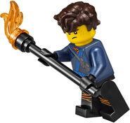 TLNMJay Fig3.jpeg (48 KB) Unmasked