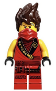 Legacy (sleeveless) Kai minifigure