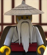 Master Wu wearing his master robes
