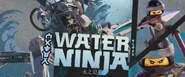 TLNMWater Ninja.png (812 KB)