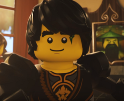 Cole Ninjago Wiki Fandom