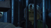 Lloyd and Vex