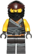 Legacy Resistance Cole minifigure.png (126 KB) Resistance Cole (Legacy mask)