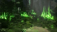 TWW Life.gif (9.79 MB)