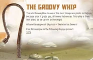 The Groovy Whip
