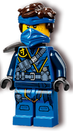 Island Jay minifigure