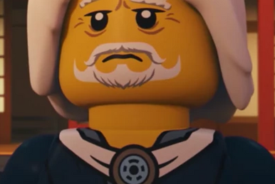 Ninjago master of sound sales