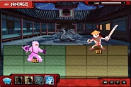 Pink ninja cameo.png (622 KB)
