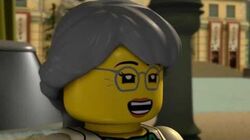 The Day Ninjago Stood Still Ninjago Wiki Fandom