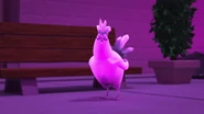 Crystal Chicken 1.jpg (136 KB)