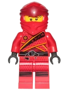 Legacy Resistance Kai Minifigure.png (135 KB) Resistance Kai (Legacy mask)