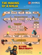 Associated activity page