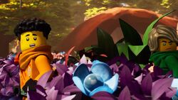 Mother Garden, Ninjago Wiki