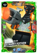 NinTCG7NxtLvl 071.jpg (3.25 MB)