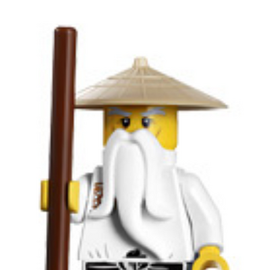 Wu Gallery Ninjago Wiki Fandom Master wu understands that he can fight to evil all by himself, so he takes four beginner ninjas and teaches them their deadly perfect sending pupils to desperate fights, sensei wu is always concerned about them and backs them up or covers the vulnerable ones. wu gallery ninjago wiki fandom