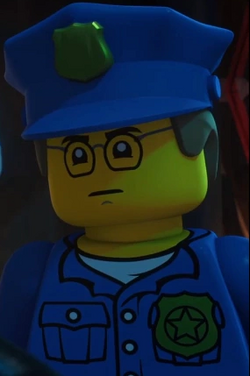 Ninjago police sales
