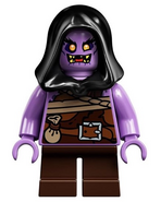 Ginkle's minifigure