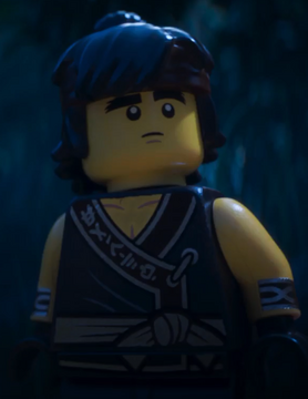 Ninjago cole season 2 best sale