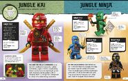 Jungle Kai and other ninja