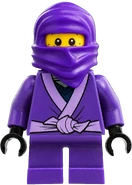FIGLilNelson.png (2.14 MB) Nelson as the Purple Ninja