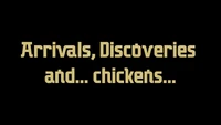 Arrivals, Discoveries and Chickens