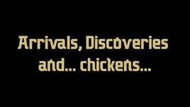 Arrivals, Discoveries and Chickens