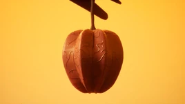 I Will Be the Danger (29)