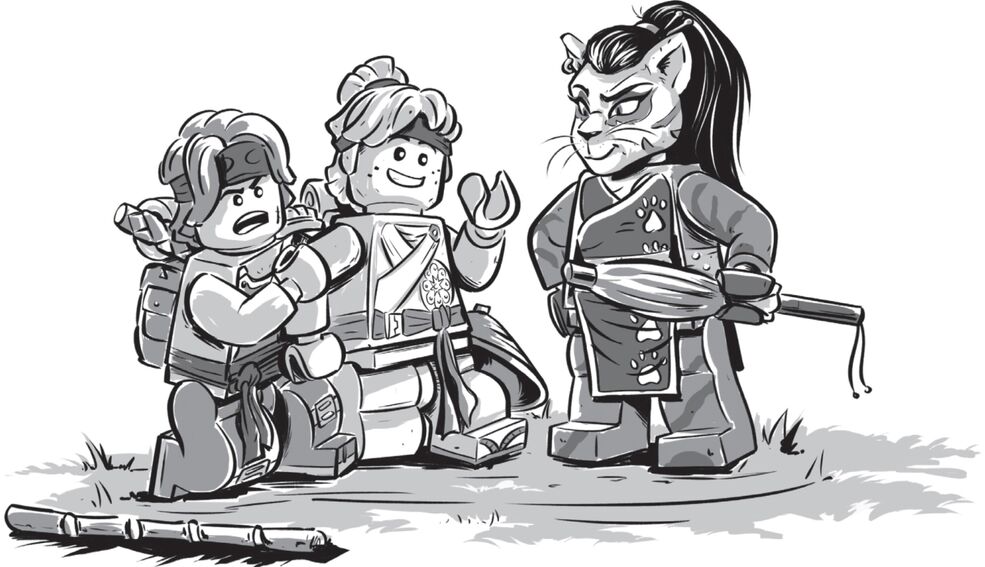 Wu Ninjago Wiki Fandom