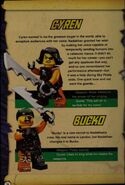The description in From Ghosts to Pirates