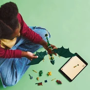 243601 2.jpg (233 KB)