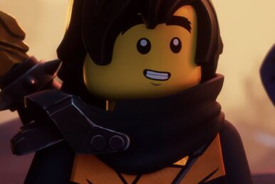 Ropo lego ninjago top
