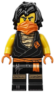 Was es bei dem Kaufen die Lego ninjago minifigures zu untersuchen gilt