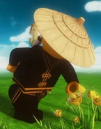 FSM black training.png (1.28 MB) Black Training First Spinjitzu Master