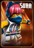 Sora LEGO.com portrait.jpg (3.81 MB)