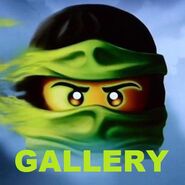 Click here to view the image gallery for Green/Golden Ninja.