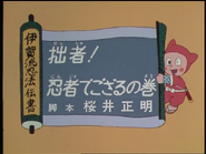 The text at the left from above to below says "Iga Style Ninja Skills"