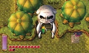 Skull Woods ALBW