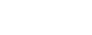 LANS logo