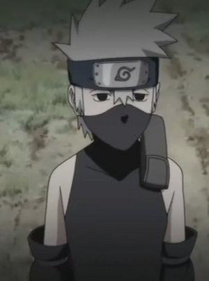 kakashi [Kid], Wiki