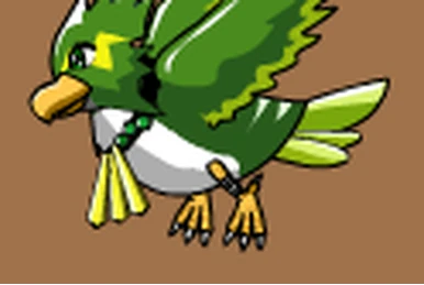 Takachi | Ninja Saga Wiki | Fandom