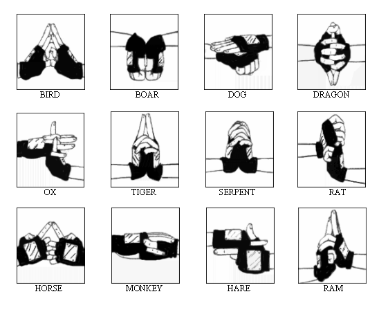 ninja hand signs 101 : r/Animemes