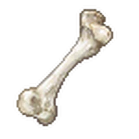 Ni No Kuni Russet Island Ni no kuni follows the story of oliver, a young boy who discovers that he belongs in another world and is actually a wizard. agterint